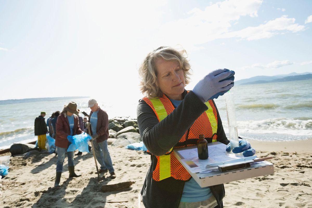The United States of Green Jobs: Where to Find Work Protecting the