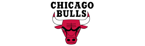 Bulls Logo