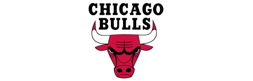 Bulls Logo