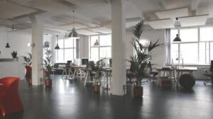 A brightly-lit open-concept office space with desks, workstations, and plants.