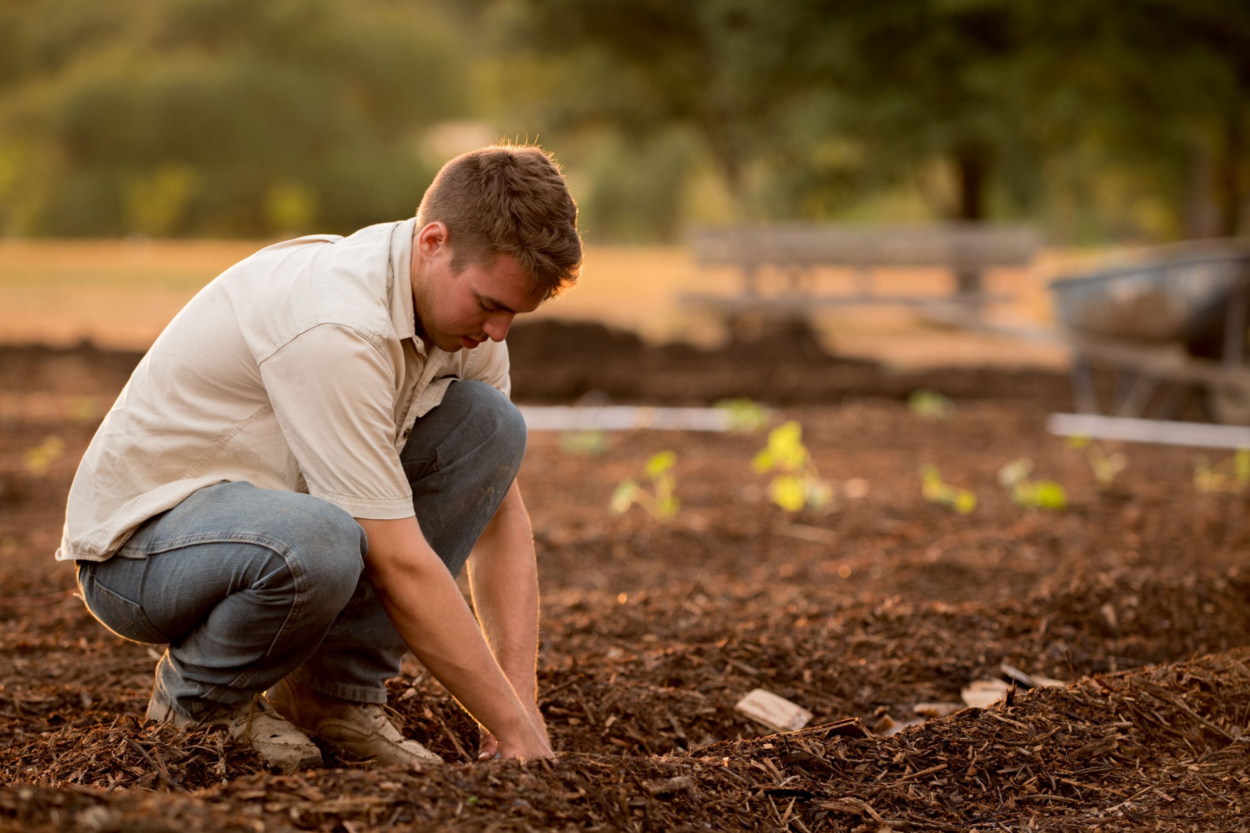 Labour Laws In BC