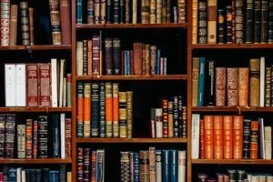 Rows of books lining a library shelf