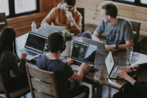 A group of employees working on their laptops at their desks in an office