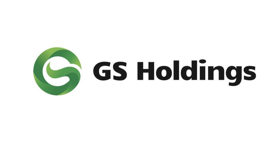 株式会社ジーエスホールディングス<br>（グループ企業 株式会社ジーエスコンサルティング、<br>株式会社ジーエスケア、株式会社ジーエスパートナーズ、<br>株式会社ビルポエージェンシー、AdFlexX株式会社）