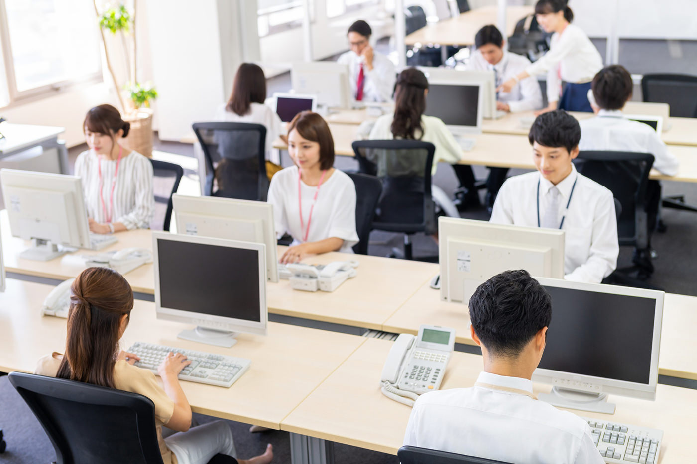 会社で働くたくさんの社員