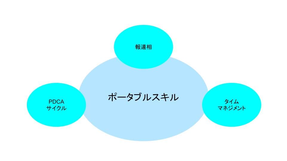 ポータブルスキルには、報連相、PDCAサイクル、タイムマネジメントの3つがある