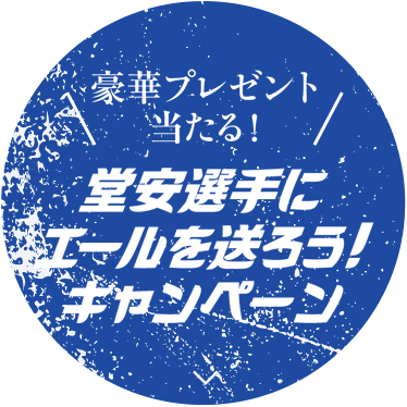 プレゼントキャンペーン開催中！