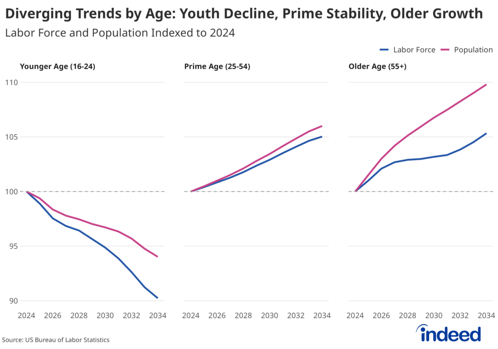 Faceted line graph titled “Diverging Trends by Age: Youth decline, prime stability, older growth” shows the trends for labor force and population indexed to 2024 levels. Younger workers show steep declines for both, whereas older workers show growth for both.